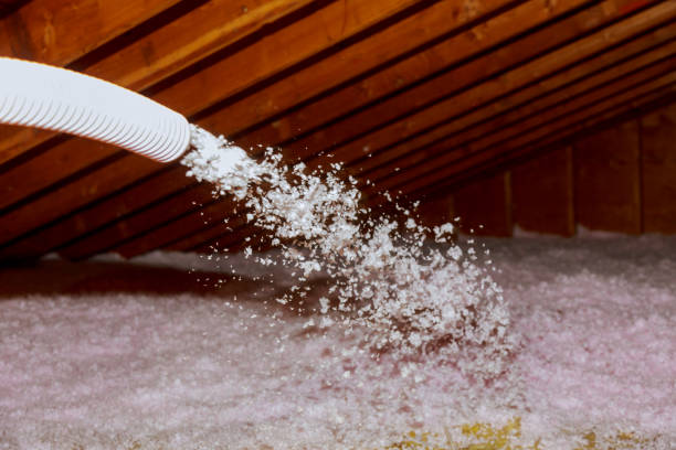 Best Attic Insulation Installation  in Gotha, FL