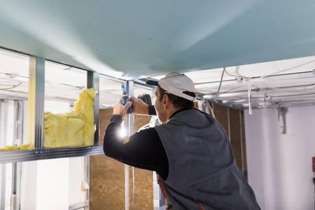 Garage Insulation Installation in Gotha, FL