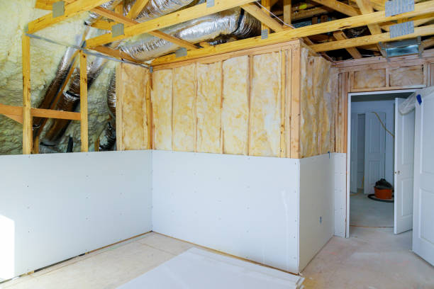 Best Attic Insulation Installation  in Gotha, FL