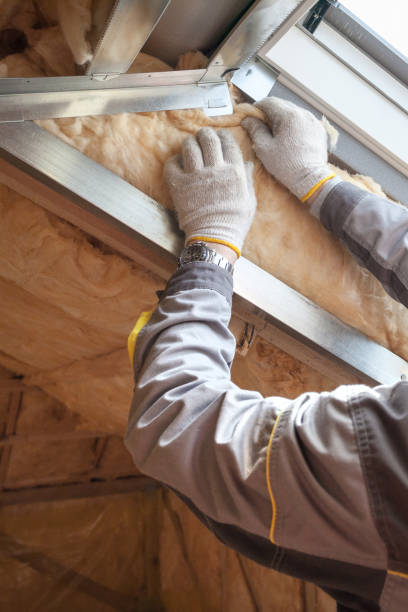 Trusted Gotha, FL Insulation Contractor Experts