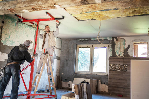 Best Professional Insulation Contractor  in Gotha, FL